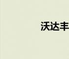沃达丰怎么样（沃达丰版）