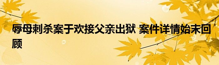 辱母刺杀案于欢接父亲出狱 案件详情始末回顾