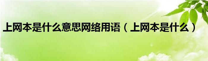 上网本是什么意思网络用语（上网本是什么）