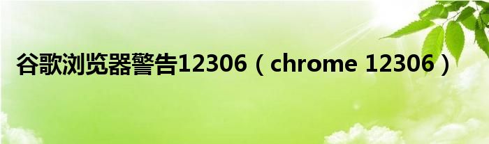 谷歌浏览器警告12306（chrome 12306）