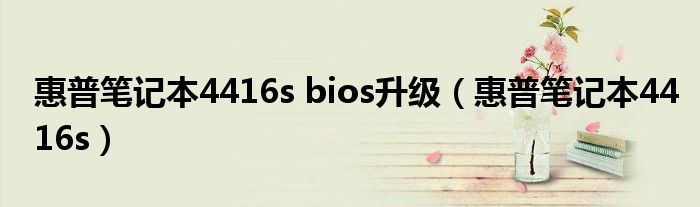 惠普笔记本4416s bios升级（惠普笔记本4416s）