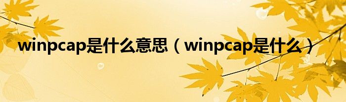 winpcap是什么意思（winpcap是什么）