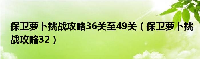 保卫萝卜挑战攻略36关至49关（保卫萝卜挑战攻略32）