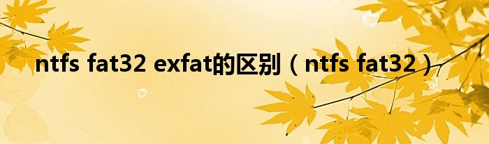 ntfs fat32 exfat的区别（ntfs fat32）