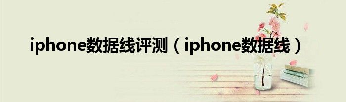 iphone数据线评测（iphone数据线）