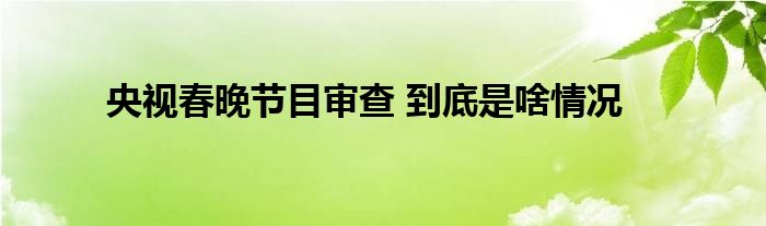 央视春晚节目审查 到底是啥情况