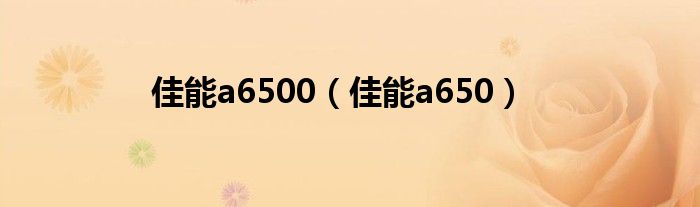 佳能a6500（佳能a650）