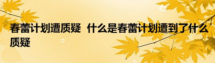 春蕾计划遭质疑 什么是春蕾计划遭到了什么质疑