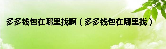 多多钱包在哪里找啊（多多钱包在哪里找）