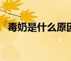 毒奶是什么原因引起的（毒奶是什么意思）