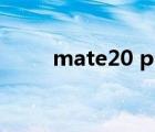 mate20 pro重量（mate20 pro）