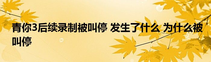 青你3后续录制被叫停 发生了什么 为什么被叫停