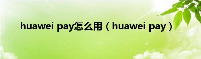 huawei pay怎么用（huawei pay）