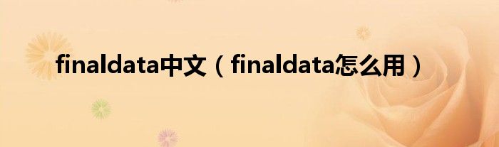 finaldata中文（finaldata怎么用）