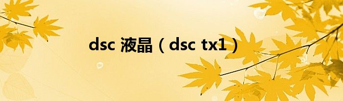 dsc 液晶（dsc tx1）