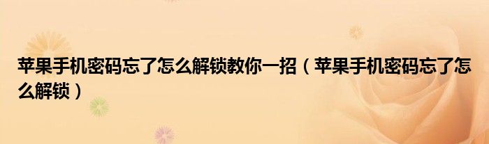 苹果手机密码忘了怎么解锁教你一招（苹果手机密码忘了怎么解锁）