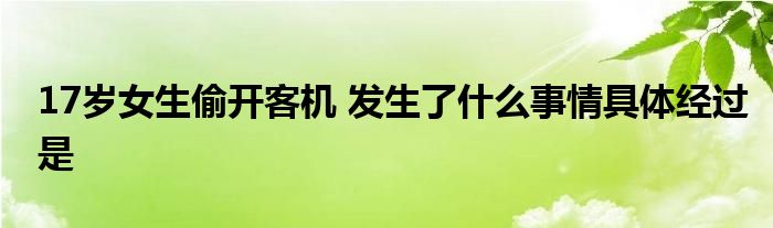 17岁女生偷开客机 发生了什么事情具体经过是