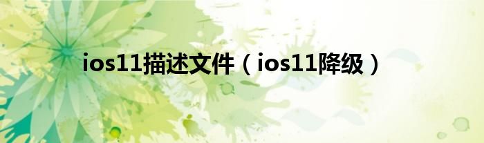 ios11描述文件（ios11降级）