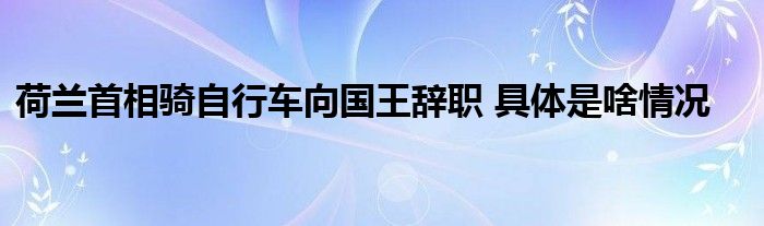 荷兰首相骑自行车向国王辞职 具体是啥情况