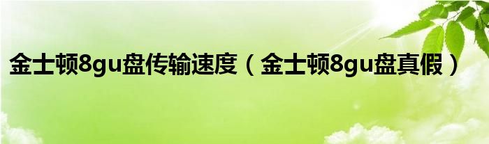 金士顿8gu盘传输速度（金士顿8gu盘真假）