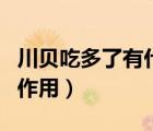 川贝吃多了有什么后果（川贝吃多了有什么副作用）