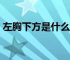 左胸下方是什么部位（左胸下方是什么部位）