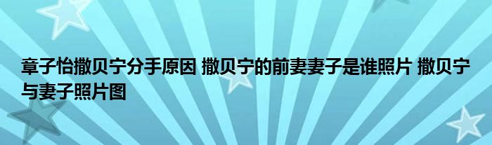 章子怡撒贝宁分手原因 撒贝宁的前妻妻子是谁照片 撒贝宁与妻子照片图