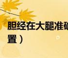 胆经在大腿准确位置图片（胆经在大腿准确位置）