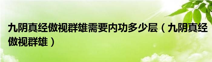 九阴真经傲视群雄需要内功多少层（九阴真经傲视群雄）