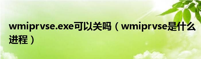 wmiprvse.exe可以关吗（wmiprvse是什么进程）