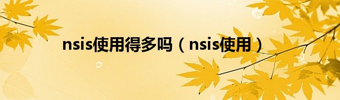 nsis使用得多吗（nsis使用）