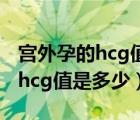 宫外孕的hcg值和孕酮一般是多少（宫外孕的hcg值是多少）