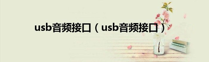 usb音频接口（usb音频接口）