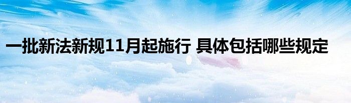 一批新法新规11月起施行 具体包括哪些规定