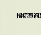 指标查询系统（做b超详细步骤）