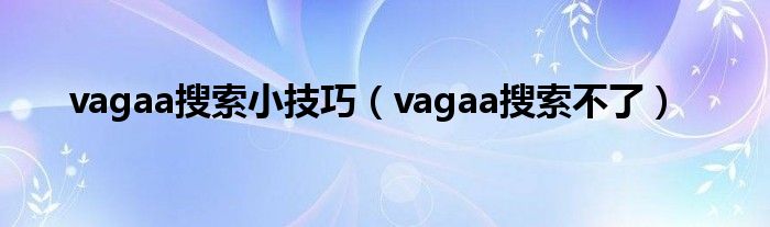 vagaa搜索小技巧（vagaa搜索不了）