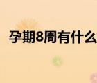 孕期8周有什么反应（怀孕第8周什么症状）