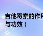 吉他霉素的作用与功效用法（吉他霉素的作用与功效）