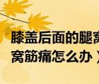膝盖后面的腿窝筋痛到脚底麻（膝盖后面的腿窝筋痛怎么办）
