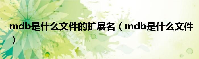 mdb是什么文件的扩展名（mdb是什么文件）