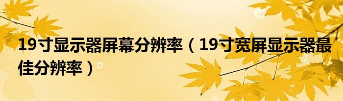 19寸显示器屏幕分辨率（19寸宽屏显示器最佳分辨率）