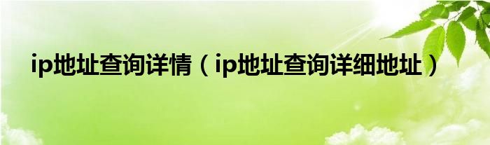 ip地址查询详情（ip地址查询详细地址）