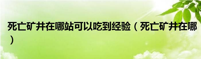 死亡矿井在哪站可以吃到经验（死亡矿井在哪）
