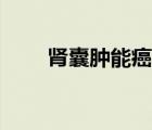 肾囊肿能癌变吗（肾囊肿能自愈吗）