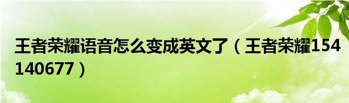 王者荣耀语音怎么变成英文了（王者荣耀154140677）