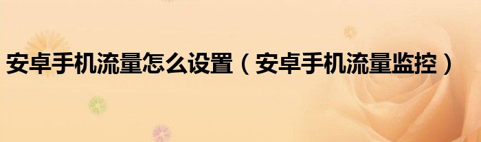 安卓手机流量怎么设置（安卓手机流量监控）