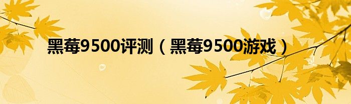 黑莓9500评测（黑莓9500游戏）