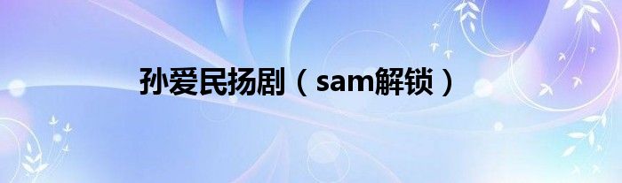 孙爱民扬剧（sam解锁）