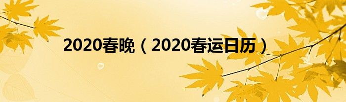 2020春晚（2020春运日历）