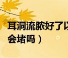 耳洞流脓好了以后耳洞会堵吗（耳洞流脓不戴会堵吗）